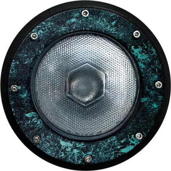 Dabmar Lighting DW4751-L25F-64K-VG 120V E26 LED 25W 64K Flood Powder Coated In-Ground Cast Aluminium Well Light, Verde Green