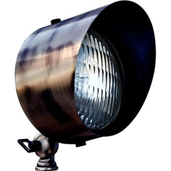 Dabmar Lighting LV30-L6-30K-ABZ 12V Screw LED 6W 30K Solid Brass Directional Flood Light with Hood, Antique Bronze