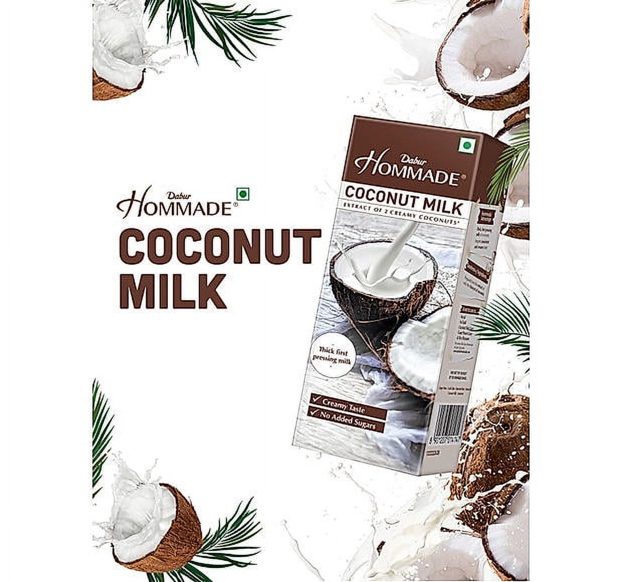 Dabur Hommade Coconut Milk 200ml