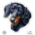 thumbnail image 1 of Dachschund - 12" Vinyl Sticker Waterproof Decal, 1 of 1