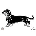 thumbnail image 1 of Dachshund - 12" Vinyl Sticker Waterproof Decal, 1 of 1