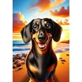 thumbnail image 1 of Dachshund Black/Tan Smooth - Best of Breed DCR Summer Sunset Outdoor Garden Flag 12" x 17", 1 of 1
