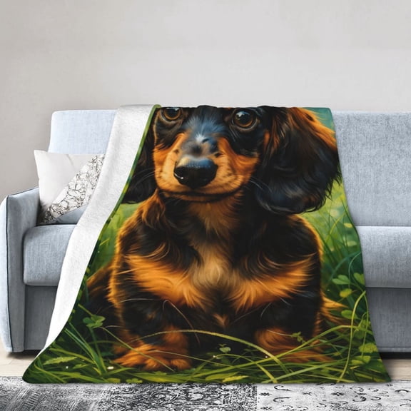 Dachshund Blanket Gift for Dog Lovers Soft Fleece Throw Blanket with Cute Puppy for Home Decor 50x40