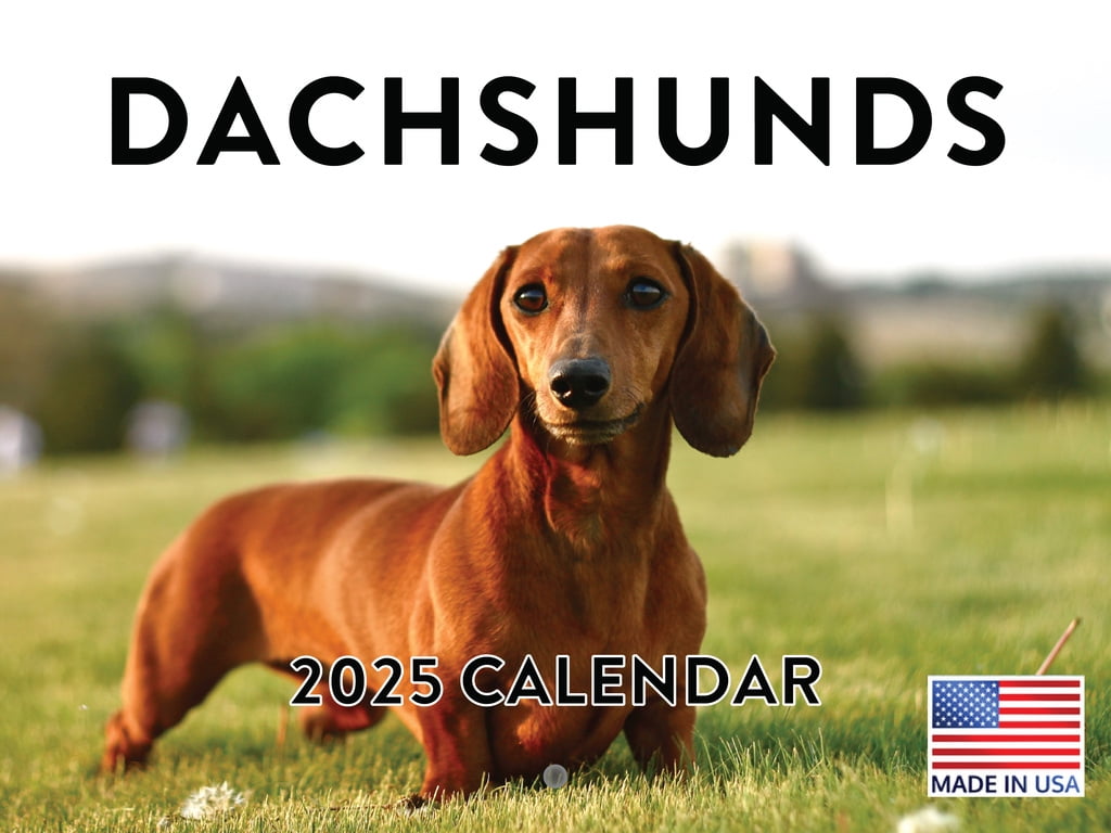 Dachshund Calendar 2025 Monthly Wall Calender 12 Month American Made