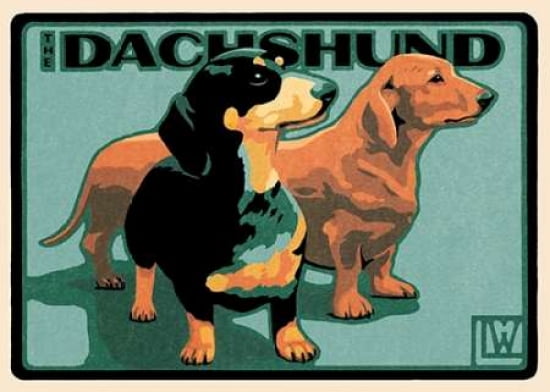 Dachshund Canvas Art - Laura Wilder (20 x 28)