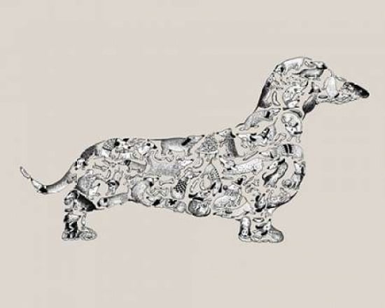 Dachshund Canvas Art - Louise Tate (24 x 30)