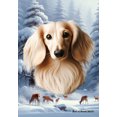 thumbnail image 1 of Dachshund Cream Longhaired - Best of Breed  Winter Wonderland Garden Flag 12" x 17", 1 of 1