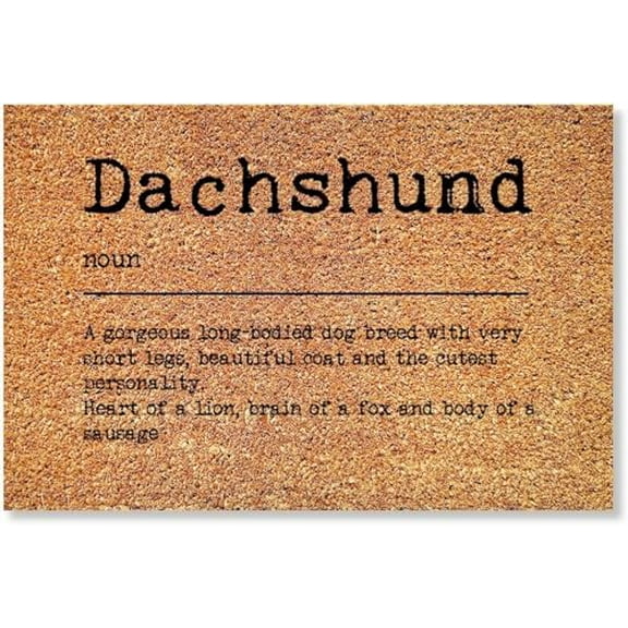 Dachshund Definition Door Mat Typography Welcome Doormat Non Slip Funny Farmhouse Kitchen Bathroom Indoor Outdoor Decoration 16x24 Inch.