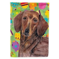 Dachshund Easter Eggtravaganza Flag Canvas House Size