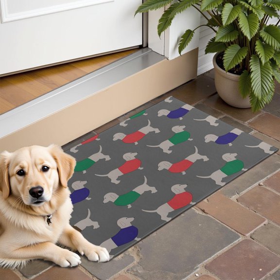 Dachshund Footprint Door Rugs,Washable Non Slip Door Mats Indoor,Decorative Door Mats,Entry Mat Indoor for Entrance,Bedroom,Kitchen,Bathroom,16"x24"
