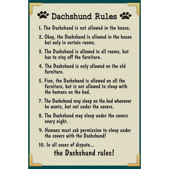 Dachshund House Rules, Animals Unframed Art Print Wall Art Sold by Art.Com