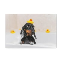 Dachshund In Bathtub With Yellow Duck On Toilet Funny Canvas Wall Art for Home Decor Ready-to-Hand
