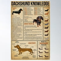 Dachshund Knowledge Poster Wall Art, Modern Wall Decor For Living Room Bedroom, 8x12 UNFRAMED