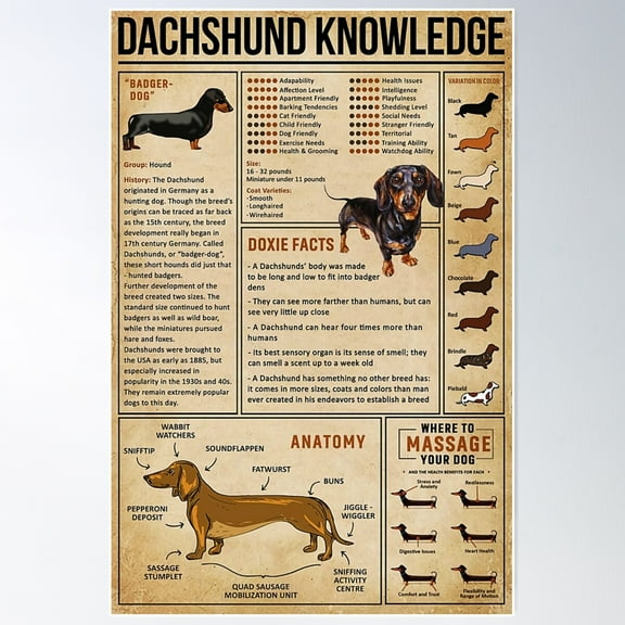 Dachshund Knowledge Poster Wall Art, Modern Wall Decor For Living Room Bedroom, 8x12 UNFRAMED