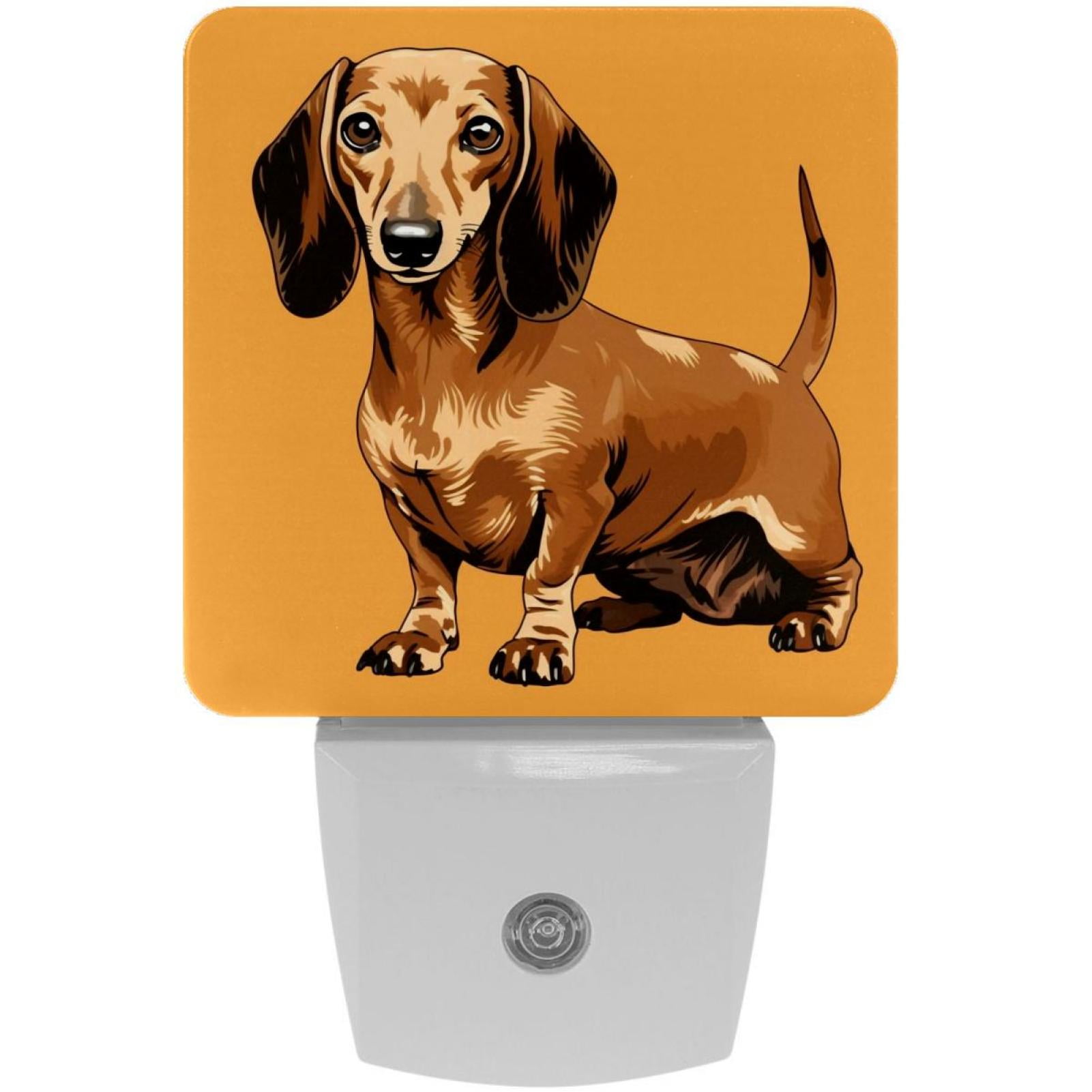 Dachshund LED Square Night Light - Energy Efficient and Stylish ...