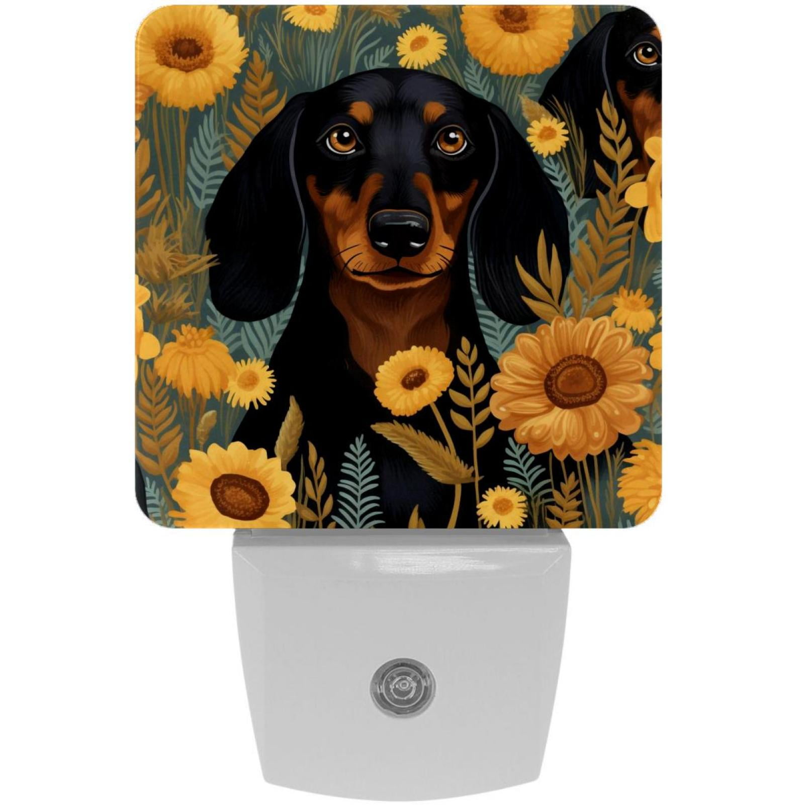Dachshund LED Square Night Lights for Bedroom and Living Room ...