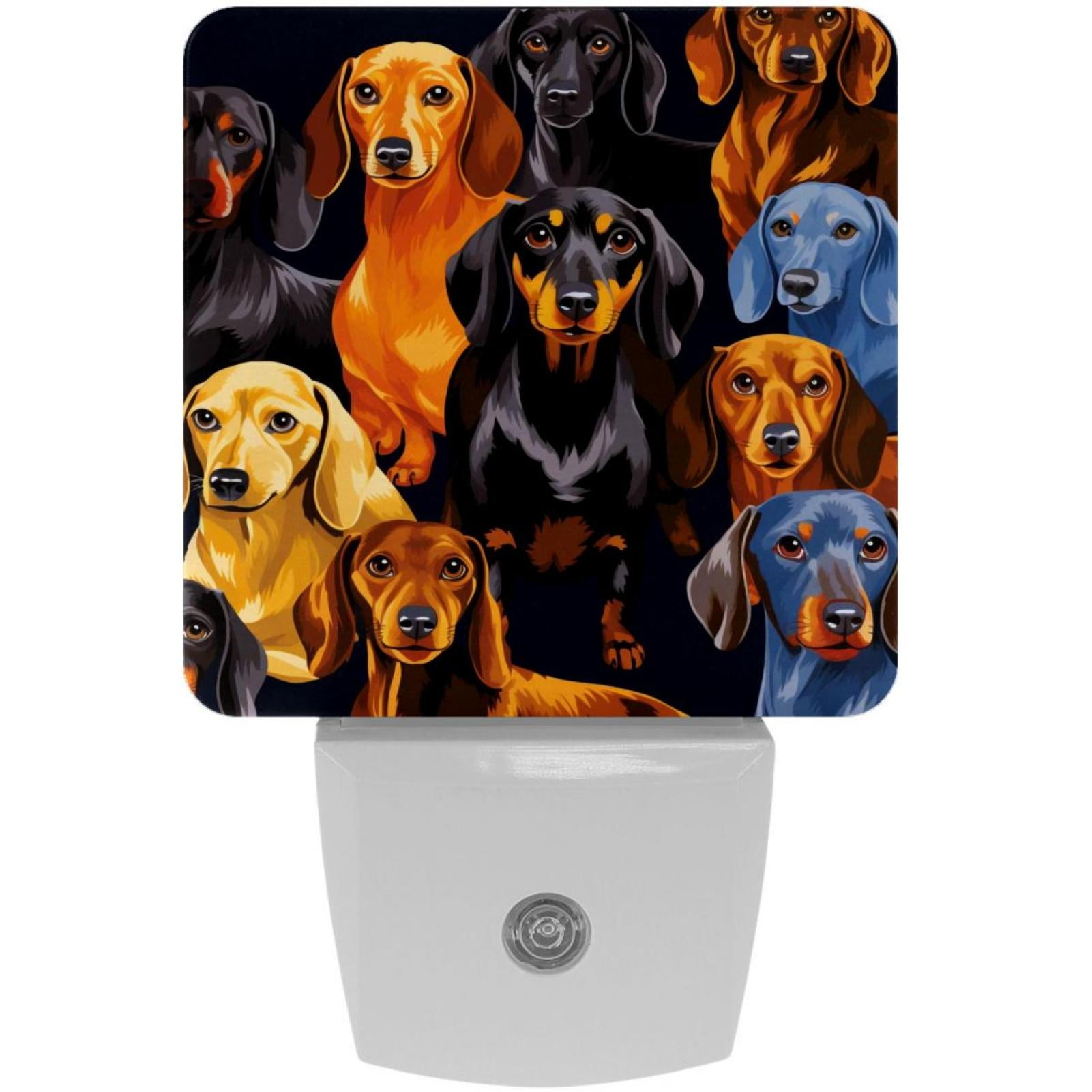 Dachshund LED Square Night Lights for Bedroom and Living Room ...