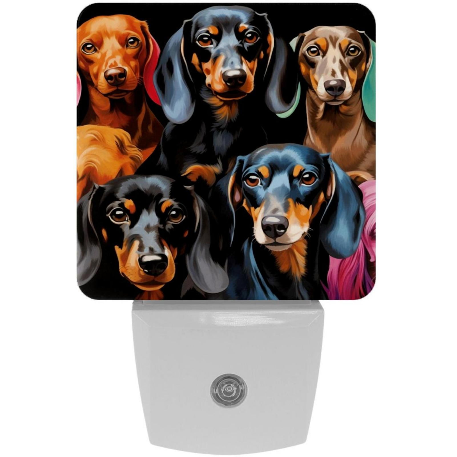 Dachshund LED Square Night Lights - Bedside Lighting Solution for a ...