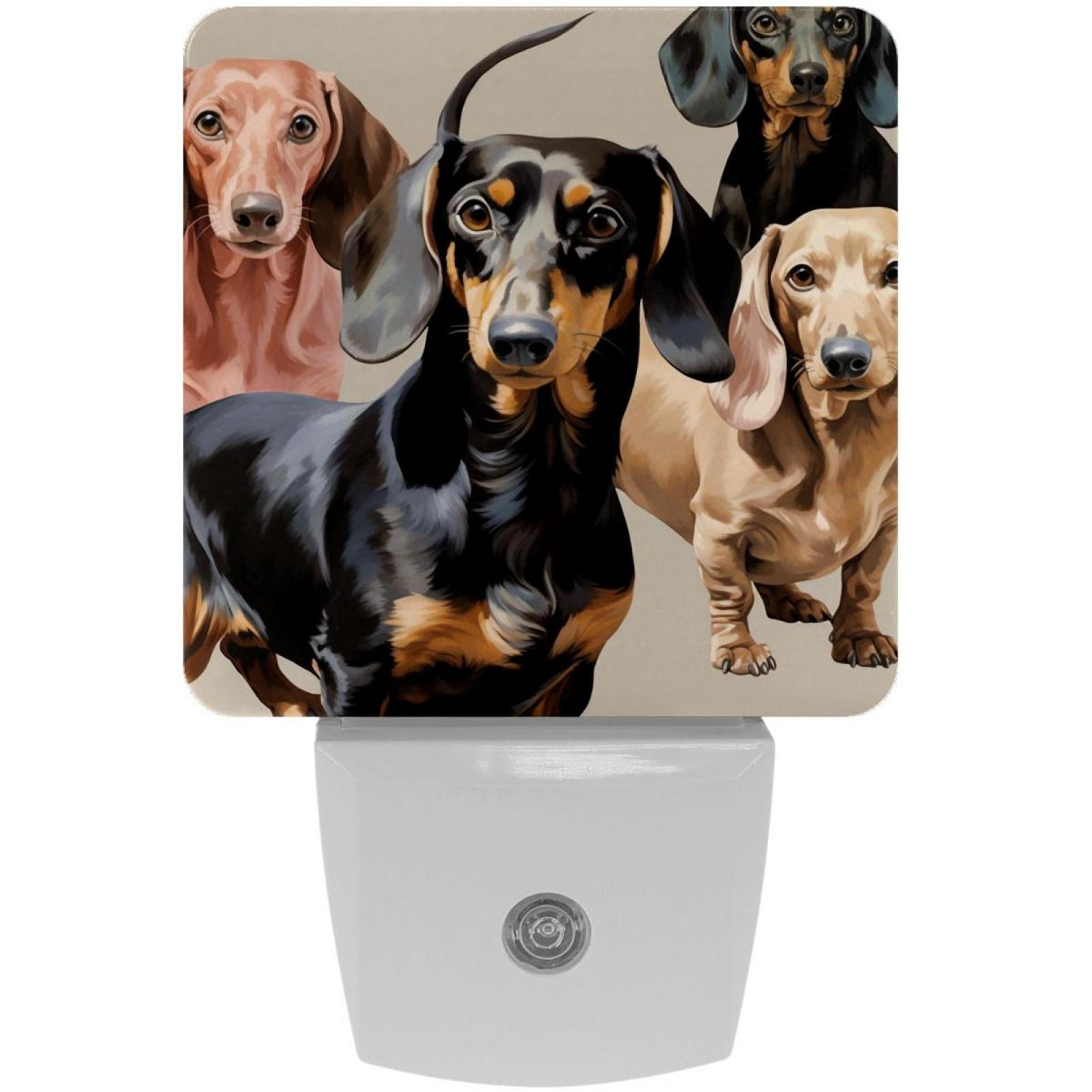 Dachshund LED Square Night Lights - Elegant and Energy Efficient ...