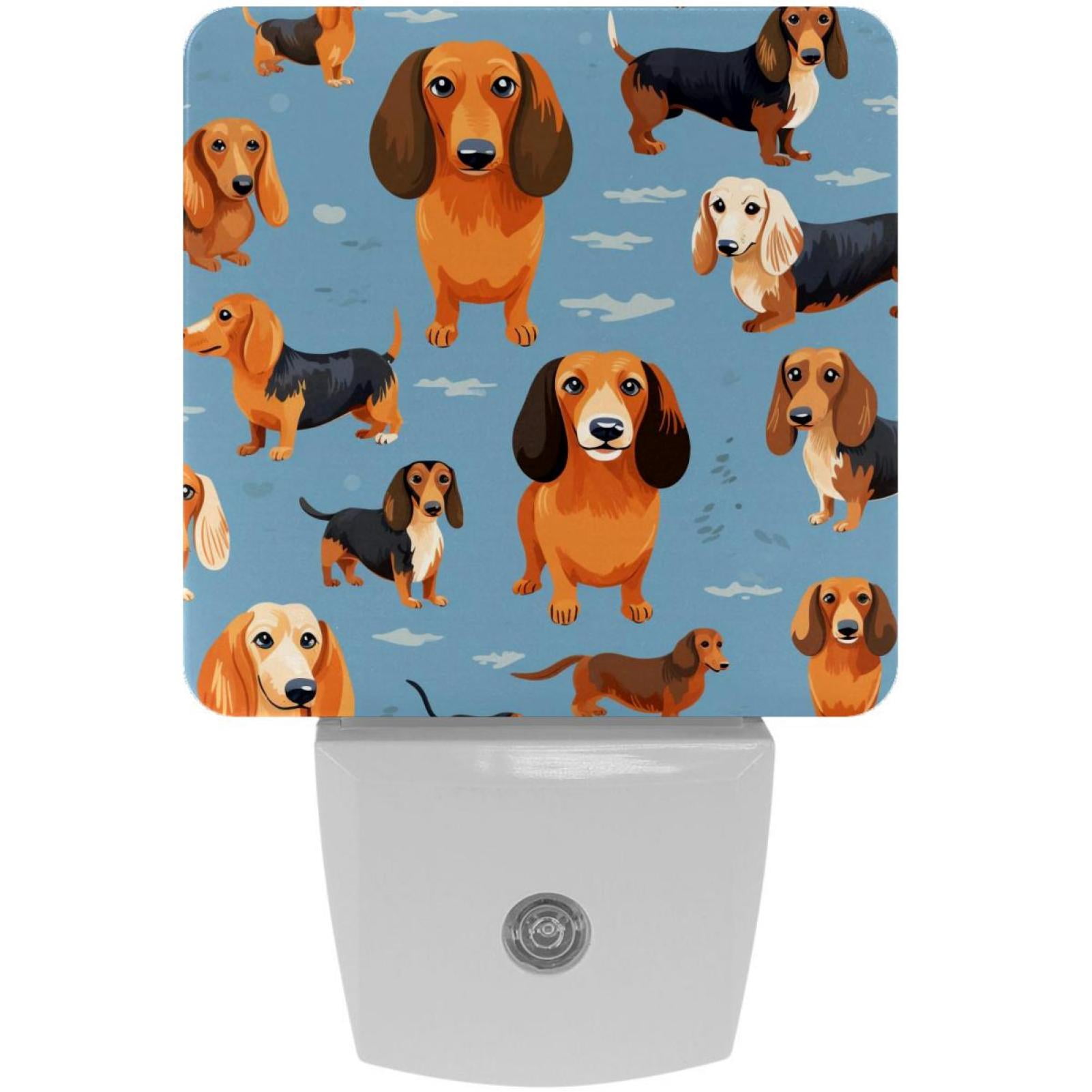Dachshund LED Square Night Lights- Energy Efficient and Stylish ...