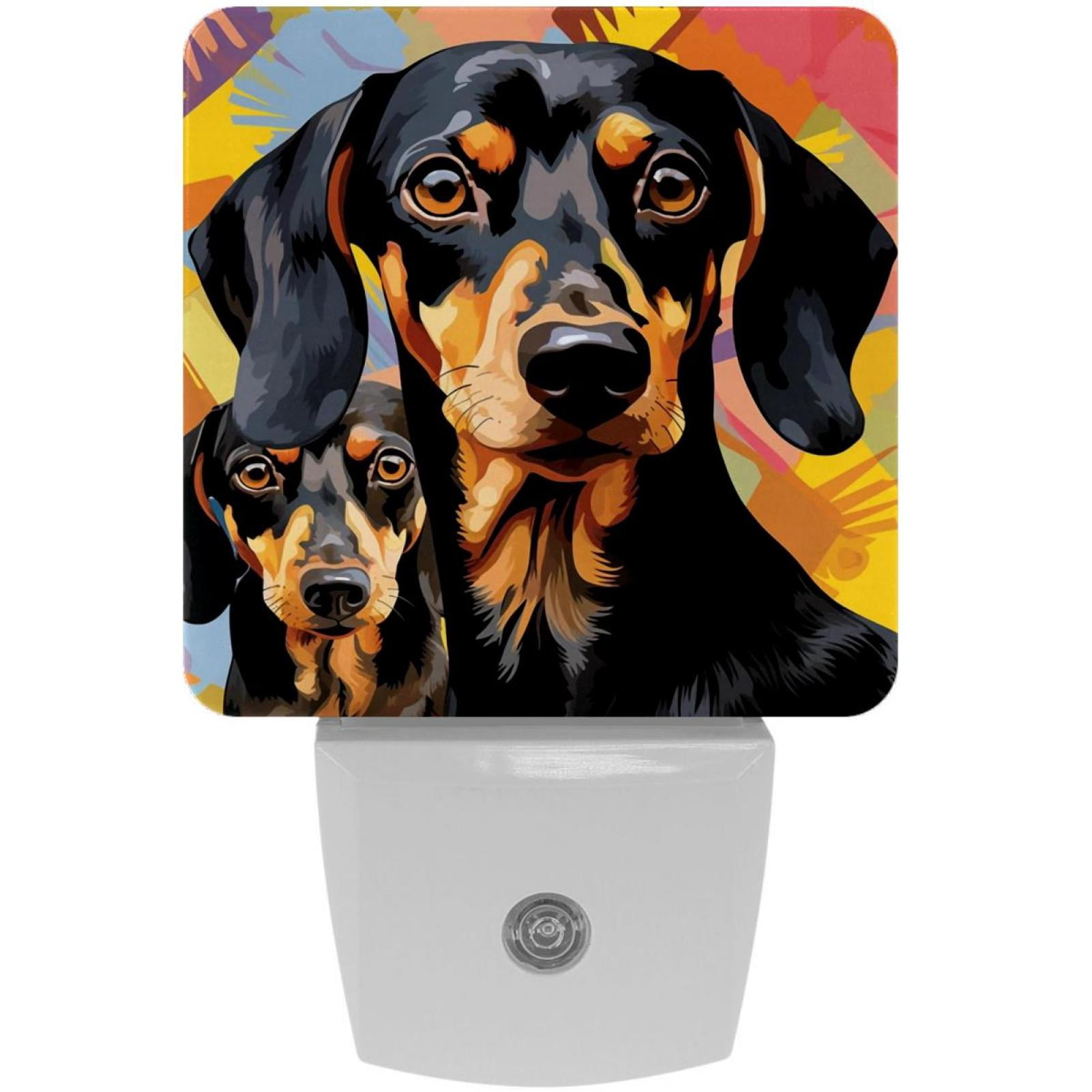 Dachshund LED Square Night Lights with Motion Sensor - Modern and ...
