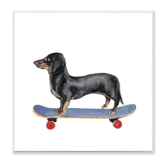 Stupell Industries Dachshund Pet Dog on Blue Skateboard,12 x 12,Designed by Annie Warren