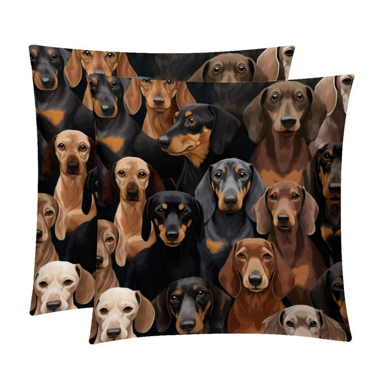 Dachshund Pillow Covers Set with Unique Patterns 16x16 18x18 20x20 Inches Set of 2 Elegant Pillow Inserts Throw Pillows Covers for Home for Any Occasion Walmart