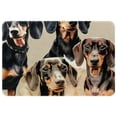 thumbnail image 1 of Dachshund Polyester Non-Slip Office Mat & Kitchen Rug, Machine Washable Door Mats, 1 of 6
