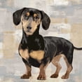 thumbnail image 1 of Dachshund Poster Print by Keri Rodgers   KG114633, 1 of 1