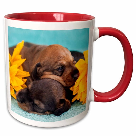 3drose, Dachshund Puppies Sleeping, 11oz Two-tone Red Mug