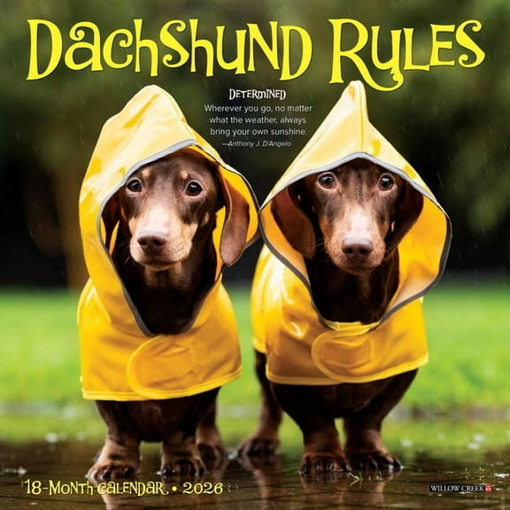Dachshund Rules 2026 Mini Wall Calendar, (Paperback)