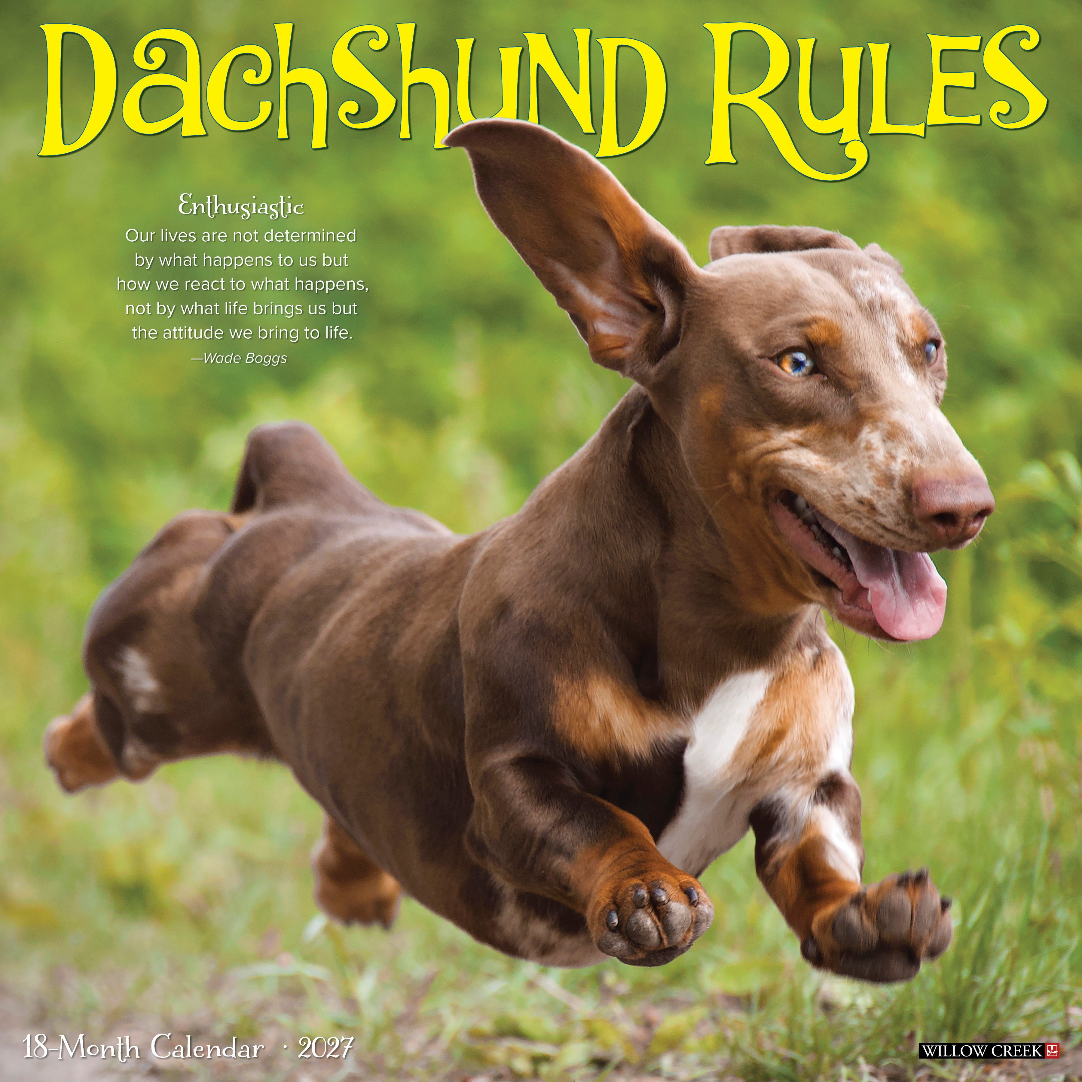 Willow Creek Press, Dachshund Rules 2027 Wall Calendar
