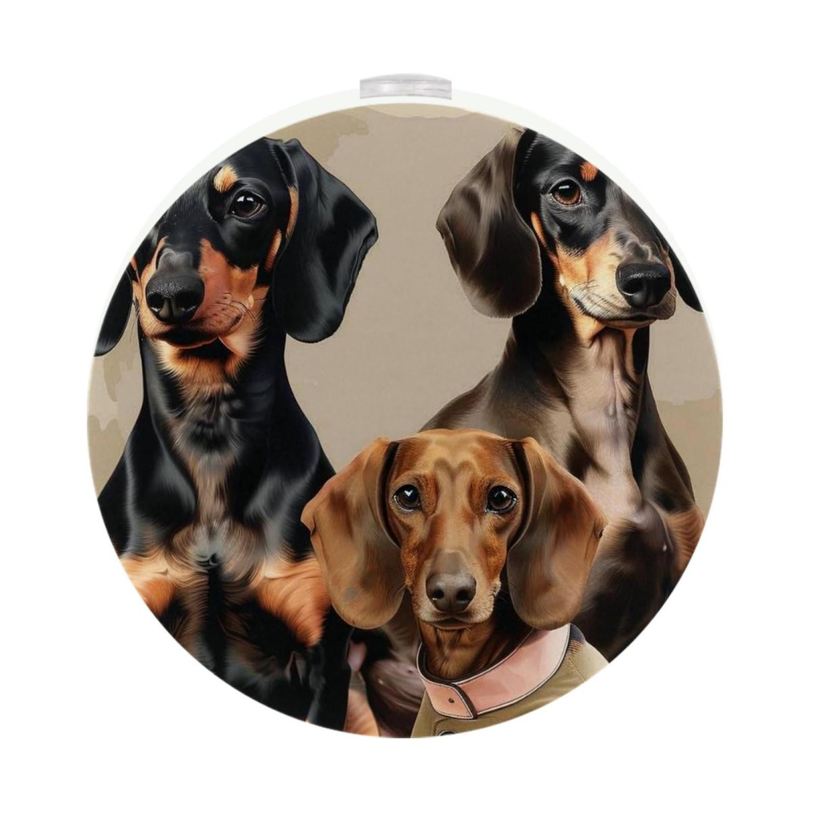 Dachshund Set of 2 LED Round Night Lights for Brightening up your Space at Night - Perfect for ...