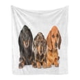 thumbnail image 1 of Dachshund Soft Flannel Fleece Throw Blanket, Different Color Sausage Dog Puppies Lying Together, Cozy Plush for Indoor and Outdoor Use, 50" x 70", Dark Taupe Grey Taupe, by Ambesonne, 1 of 6