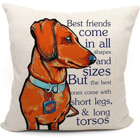Dachshund Throw Pillow Case, Dog Lover Gifts, Dachshund Dog Decor, Funny Dachshund Dog Pillow Cover, Doxie Mom Gifts, 18 x 18 Inch Cushion Cover for Sofa Couch Bed