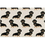 Dachshund Weiner Pet Dog Entrance Doormat, Waterproof Welcome Door Mat w/Non-Slip Backing,Easy to Clean Stylish Outdoor Mat,Front and Back Door,Garage or Porch Entryway,Poolside,Patio 24"x16"