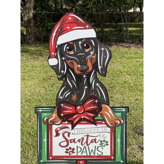 Dachshund on Top of Christmas Present