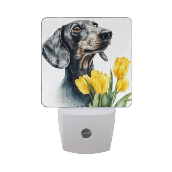 Dachshund with Yellow Tulips Watercolor LED Night Light Sensor Lamp Plug-in Adjustable Brightness 2 Pack