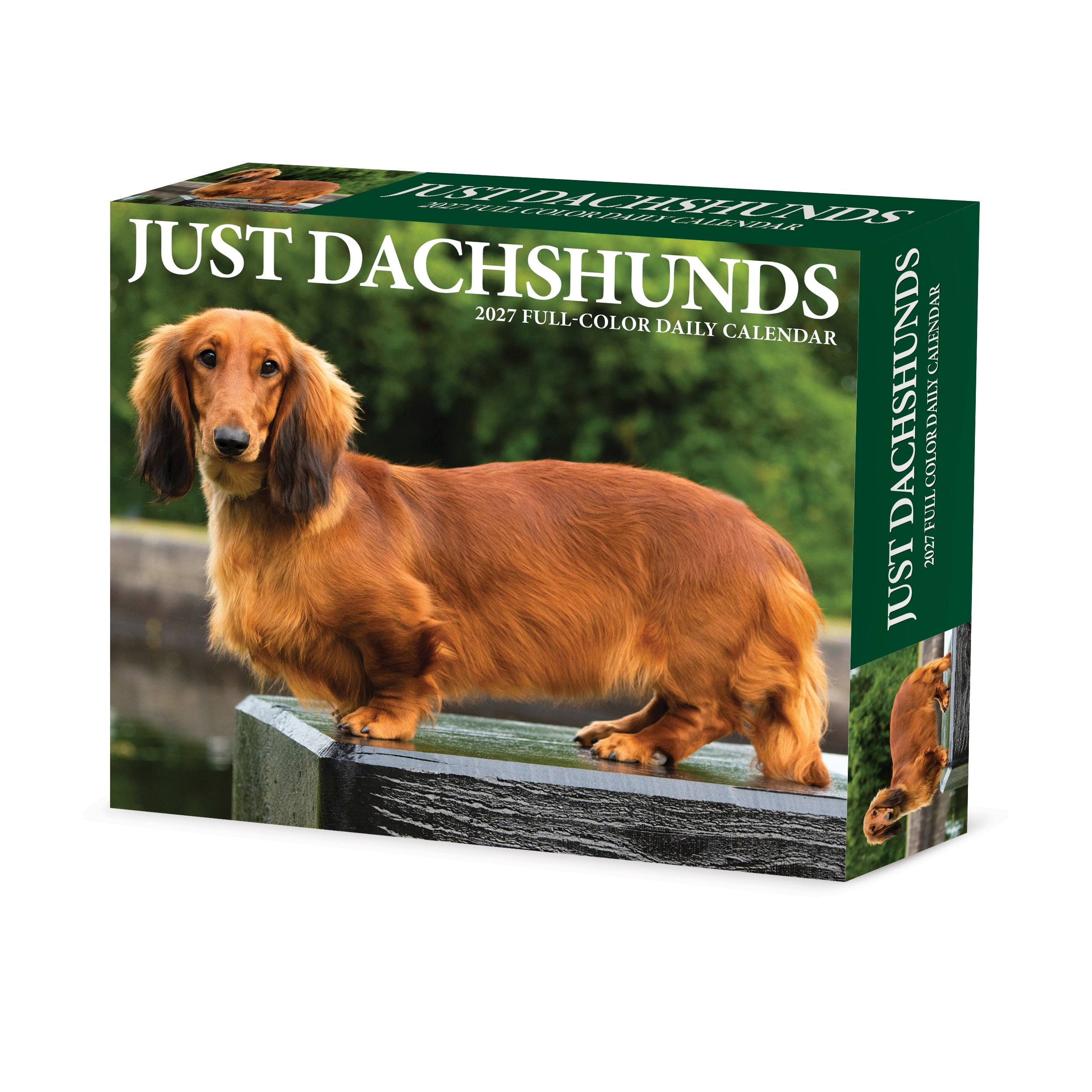 Willow Creek Press, Dachshunds 2027 Box Calendar