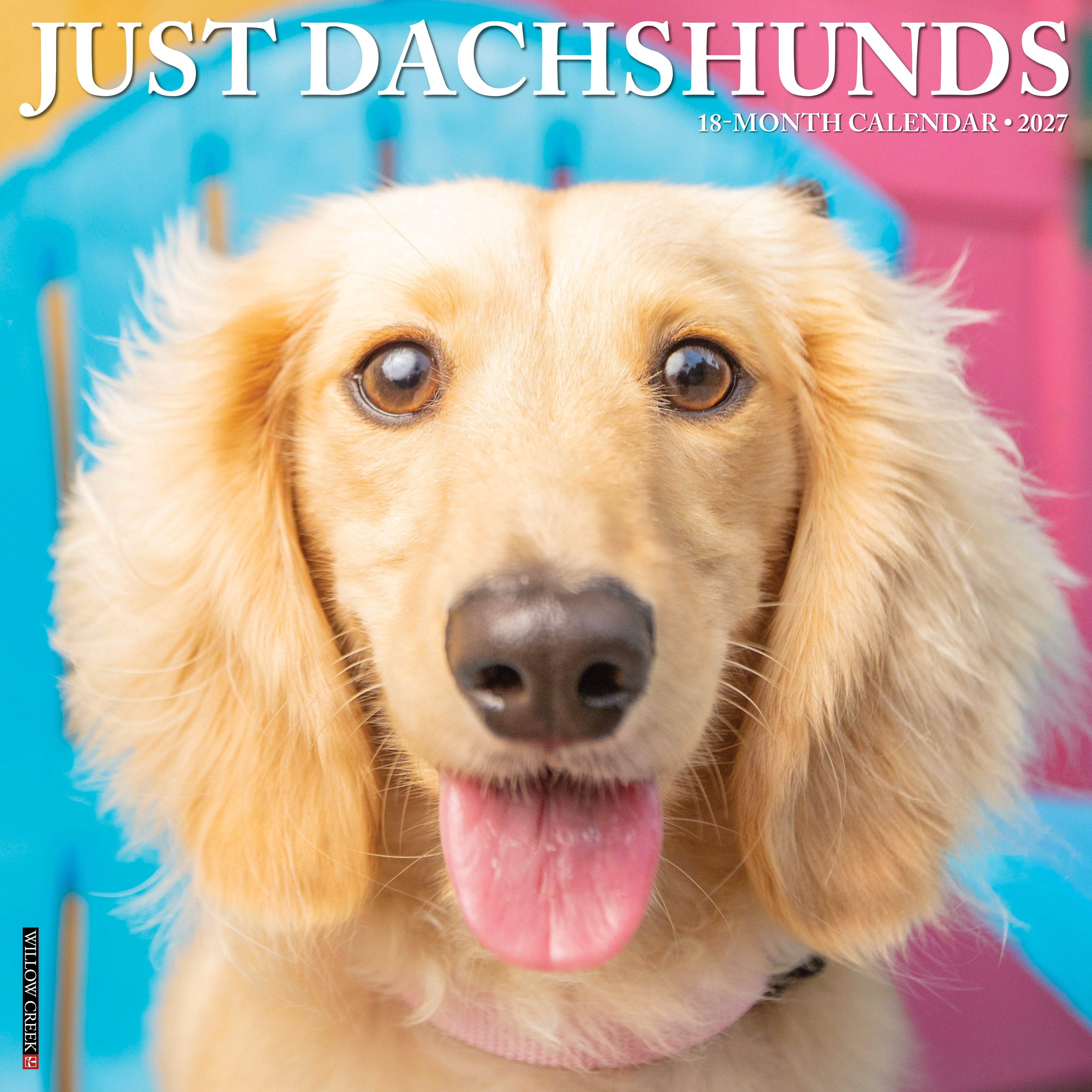Willow Creek Press, Dachshunds 2027 Wall Calendar
