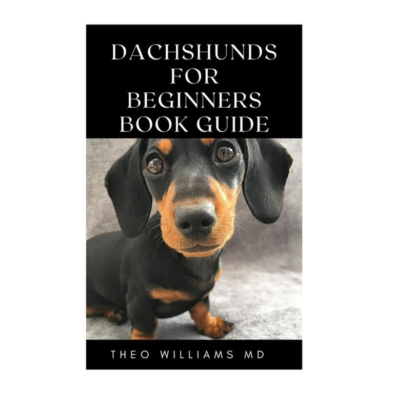 Dachshunds in best sale need