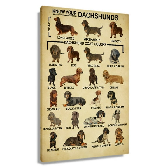 Dachshunds Dog Wall Art Knowledge Poster Bedroom Painting Pictures Canvas Nursery Decorative Prints Wall Artwork Framed 20x30 in