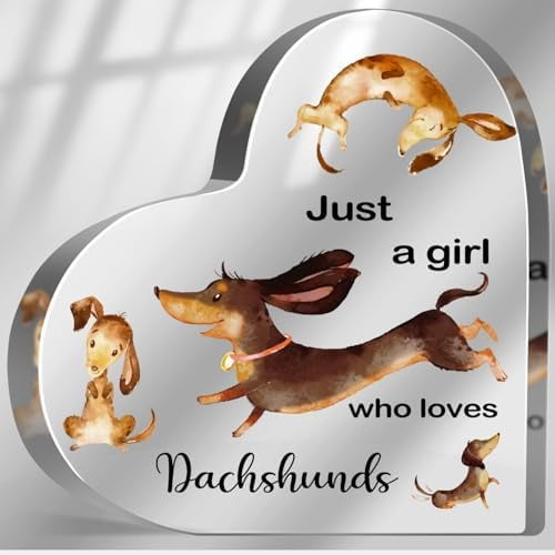 Dachshunds Gifts for Women, Just a Girl Who Loves Acrylic Sign, Dachshunds Lover Birthday Gifts, Dachshunds Paperweight Birthday Friendships Gifts, Desk Table Decor for Girls