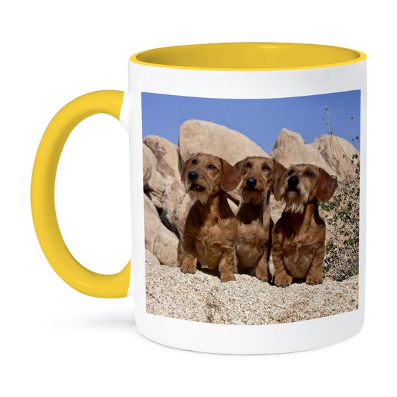 3drose, Dachshunds on Boulders, 11oz Two-tone Yellow Mug