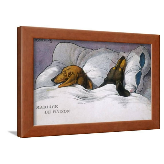 Dachshunds in Bed a Marriage of Convenience, Animals Figurative Transportation Framed Art Print Wall Art Sold by Art.Com
