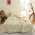 Dademeo Clearance Under 25 Dollar Cotton Bed Sheets Queen Better Homes