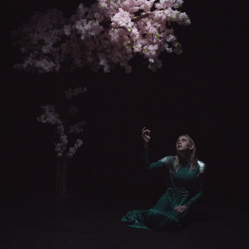 Daedric - As The Light Left - Music & Performance - Vinyl