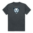 thumbnail image 1 of Daemen University Wildcats Cinder College T-Shirt, Heather Charcoal - Medium, 1 of 1