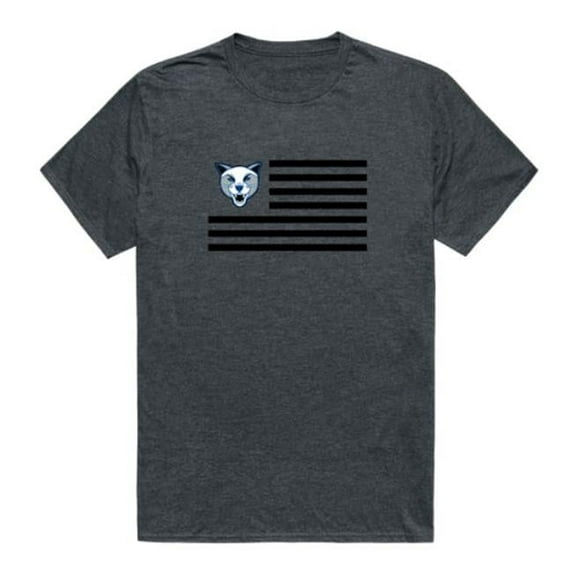 Daemen University Wildcats Flag T-Shirt, Heather Charcoal - Large