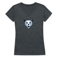thumbnail image 1 of Daemen University Wildcats Women Cinder T-Shirt, Heather Charcoal - Large, 1 of 1